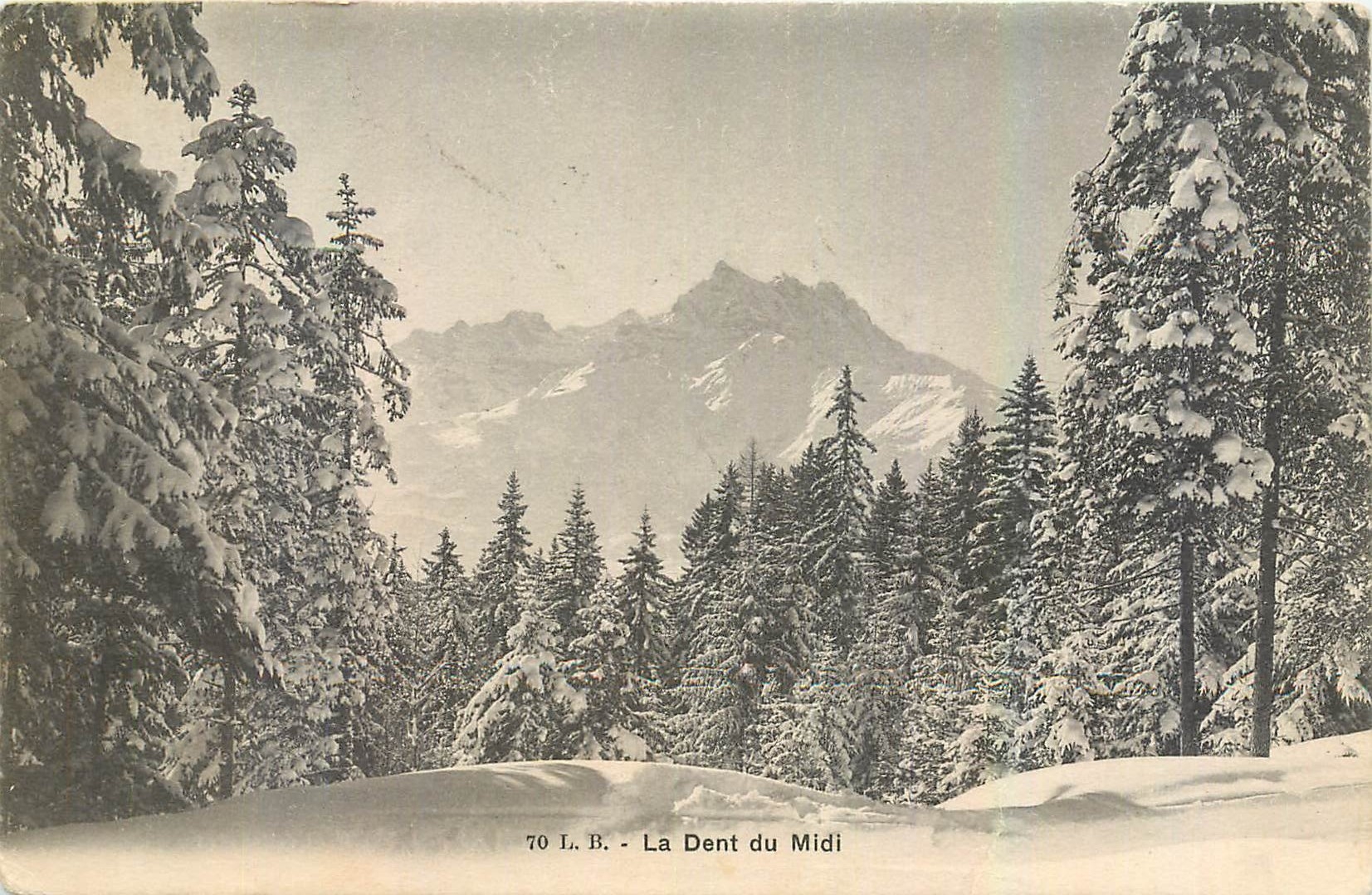 La Dent du Midi — vue enneigée — L. B. n° 70