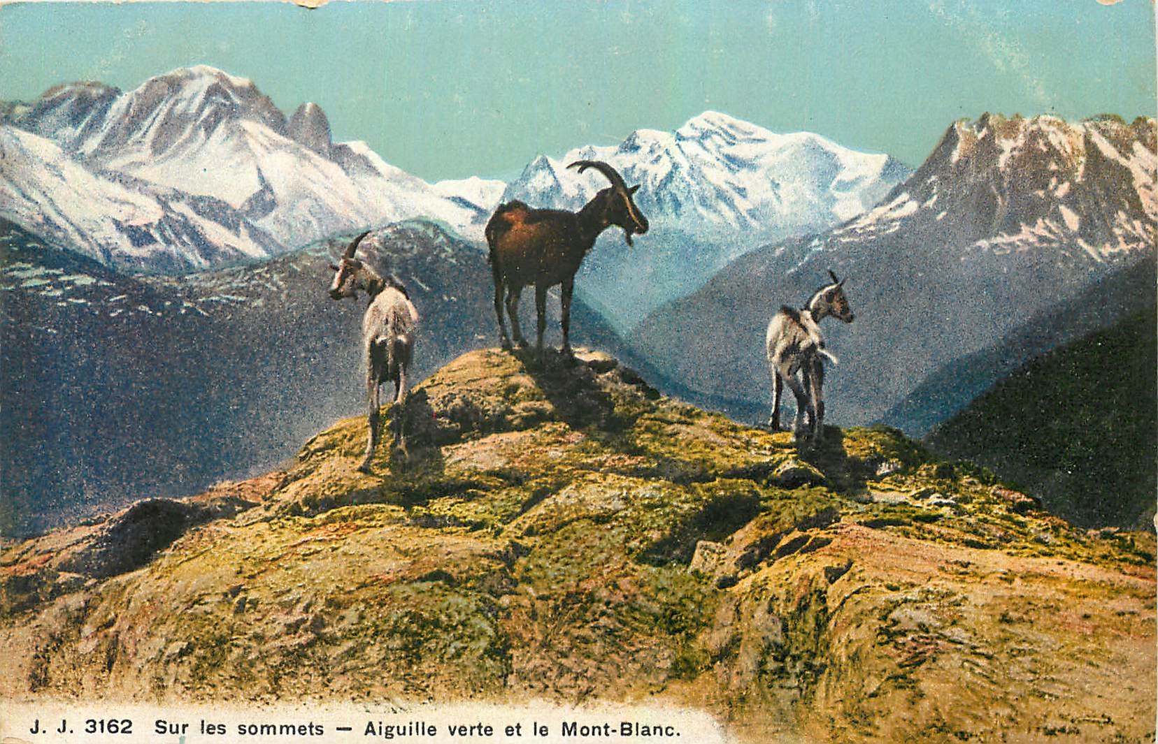 CPA Sur les Sommets Aiguille verte et le Mont Blanc Chevres
