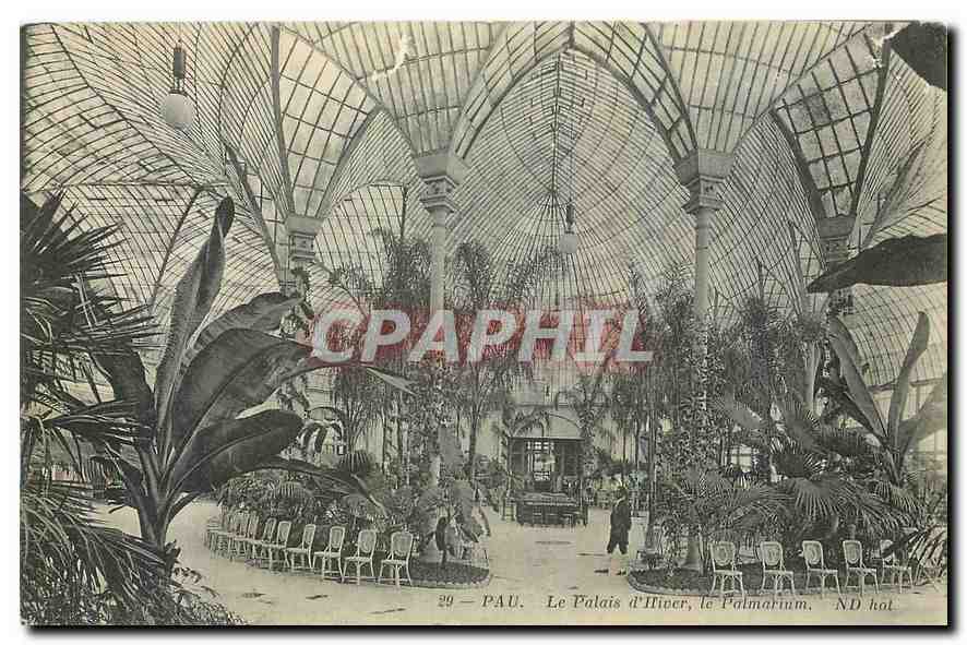 CPA Pau Le Palais d'Hiver le Palmarium 