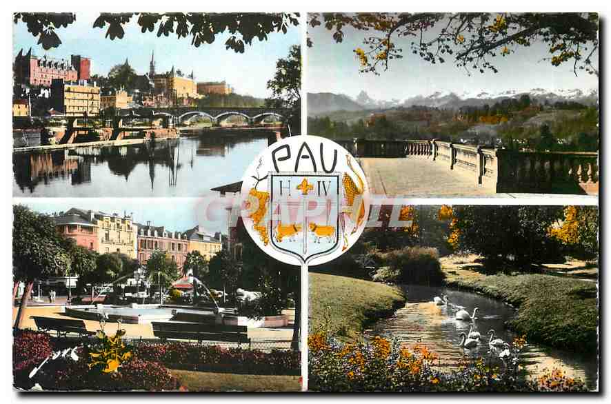 CPA Souvenir de Pau B P 