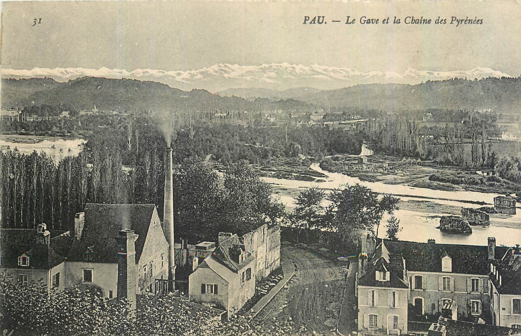 CPA Pau Le Gave et la Chaine des Pyrenees 
