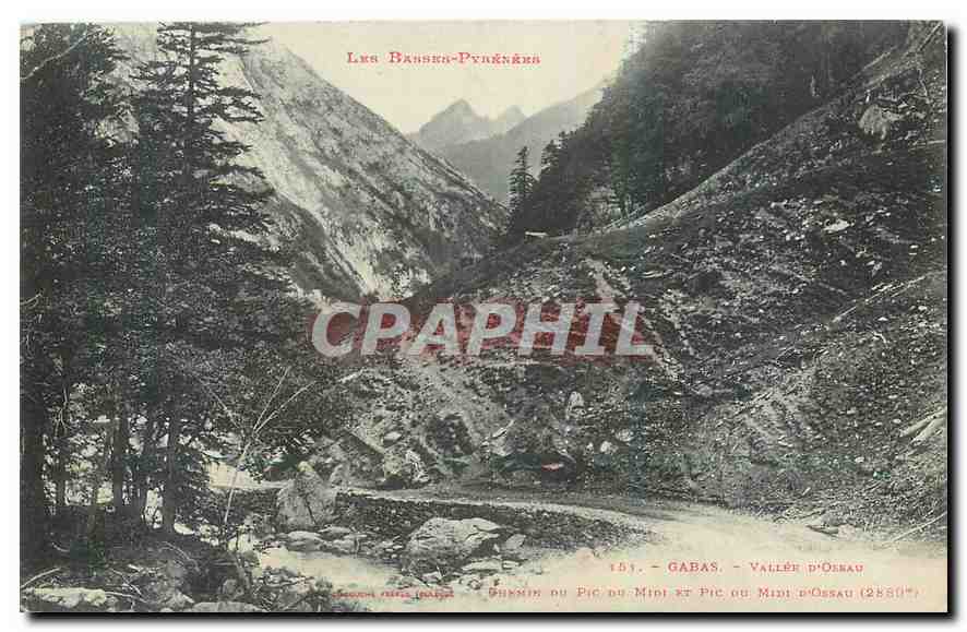 CPA Les Bausses Pyrenees Sauveterre de Bearn Les Vieux Chateau 