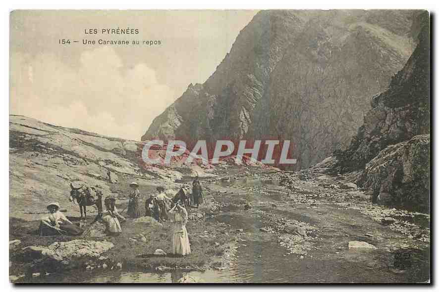 CPA Les Pyrenees Une Caravane au repos Ane Mule