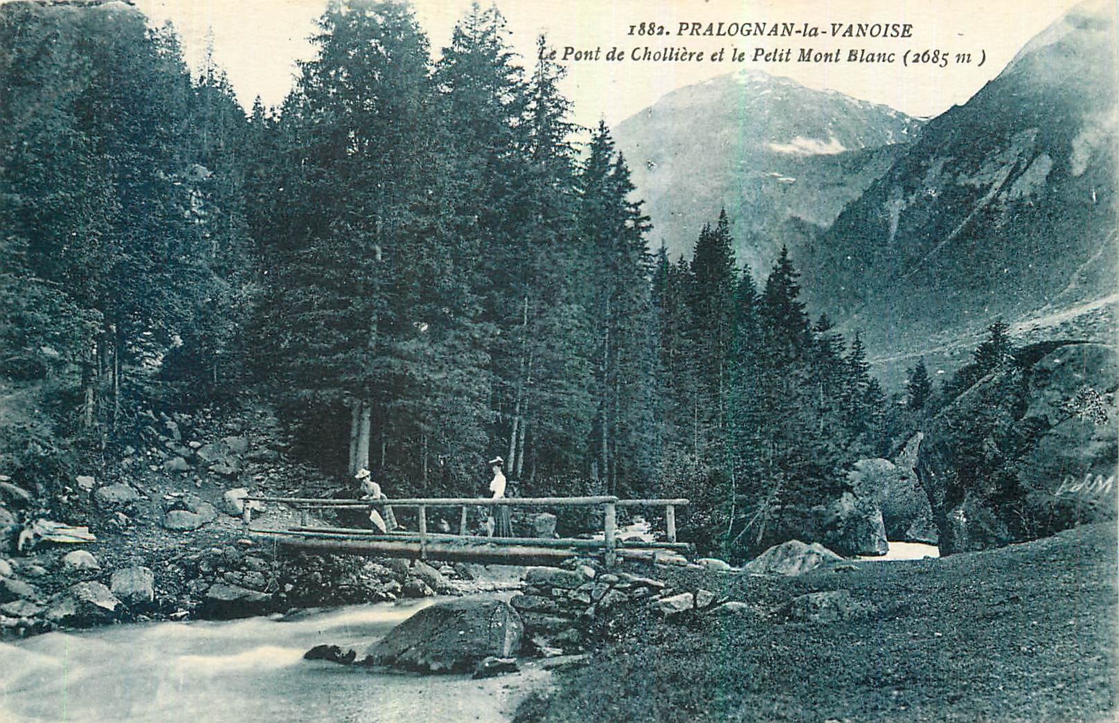 CPA Pralognan la Vanoise le pont de cholliere et le Petit Mont Blanc 