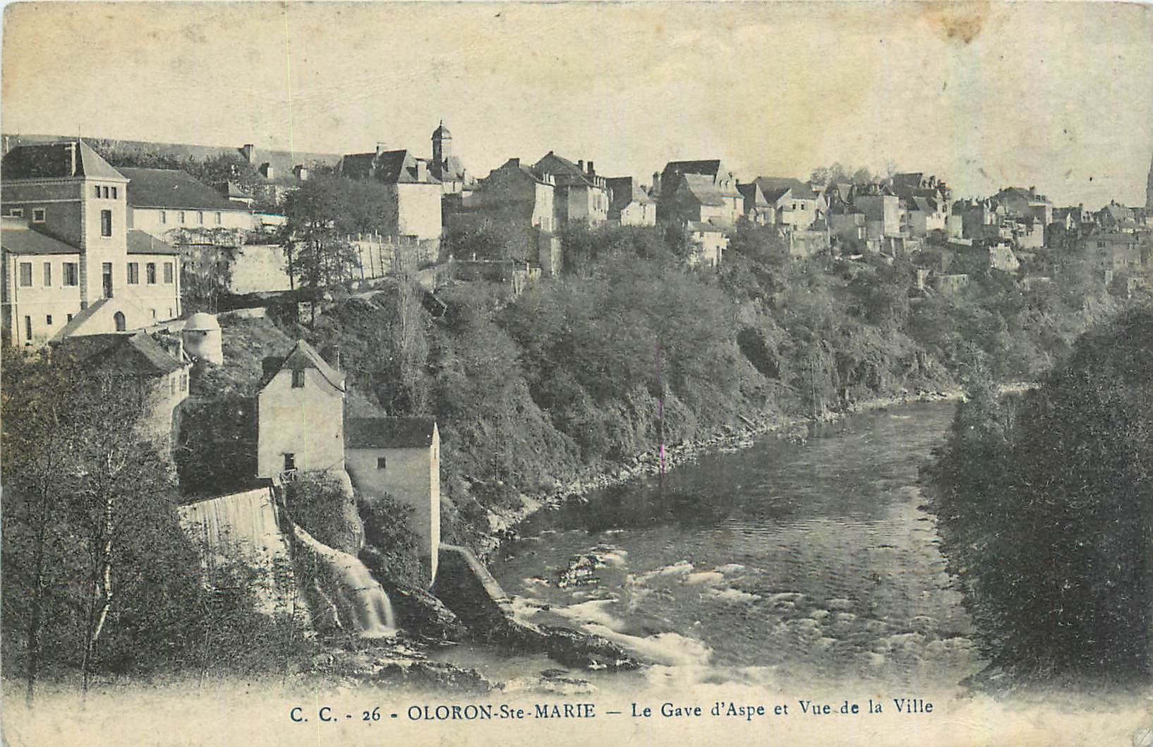 CPA Oloron Ste Marie Le Gave d'Aspe et Vue de la Ville 
