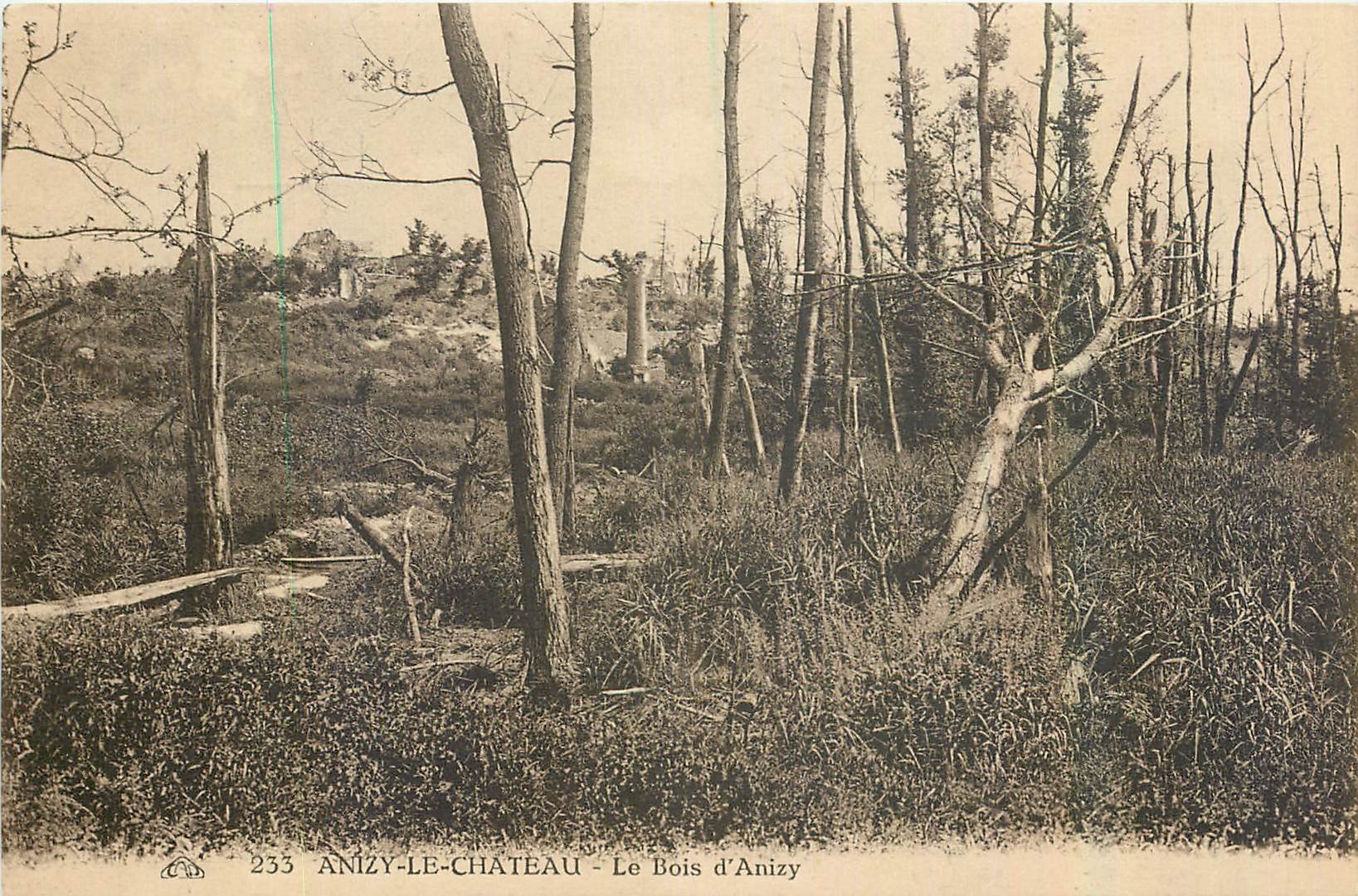 CPA Anizy le Chateau le Bois d'Anizy 