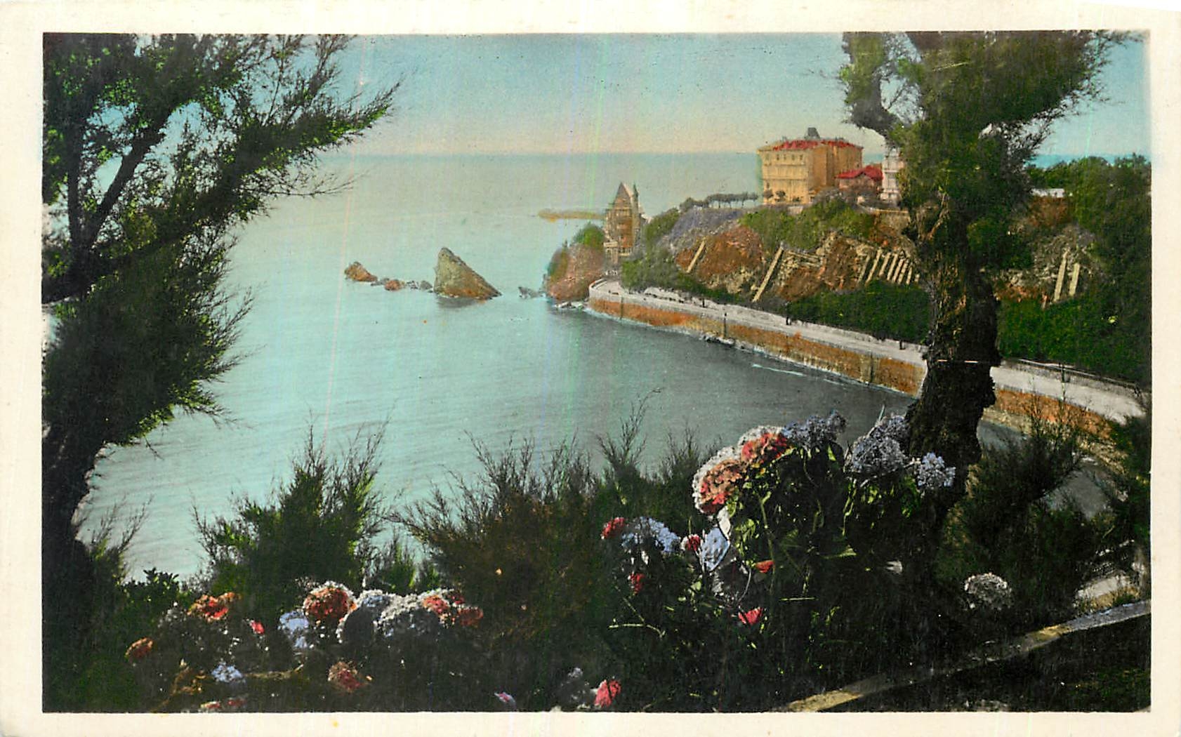 CPA Biarritz la Cote des Basques 