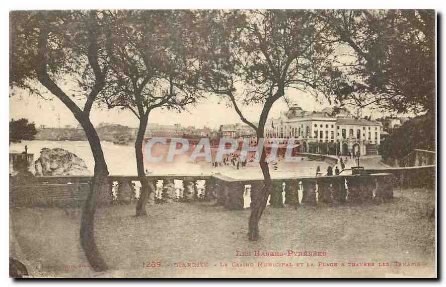 CPA Les Basees Pyrenees Biarritz le Casino Municipal et la Plage a Travers les Tamaris