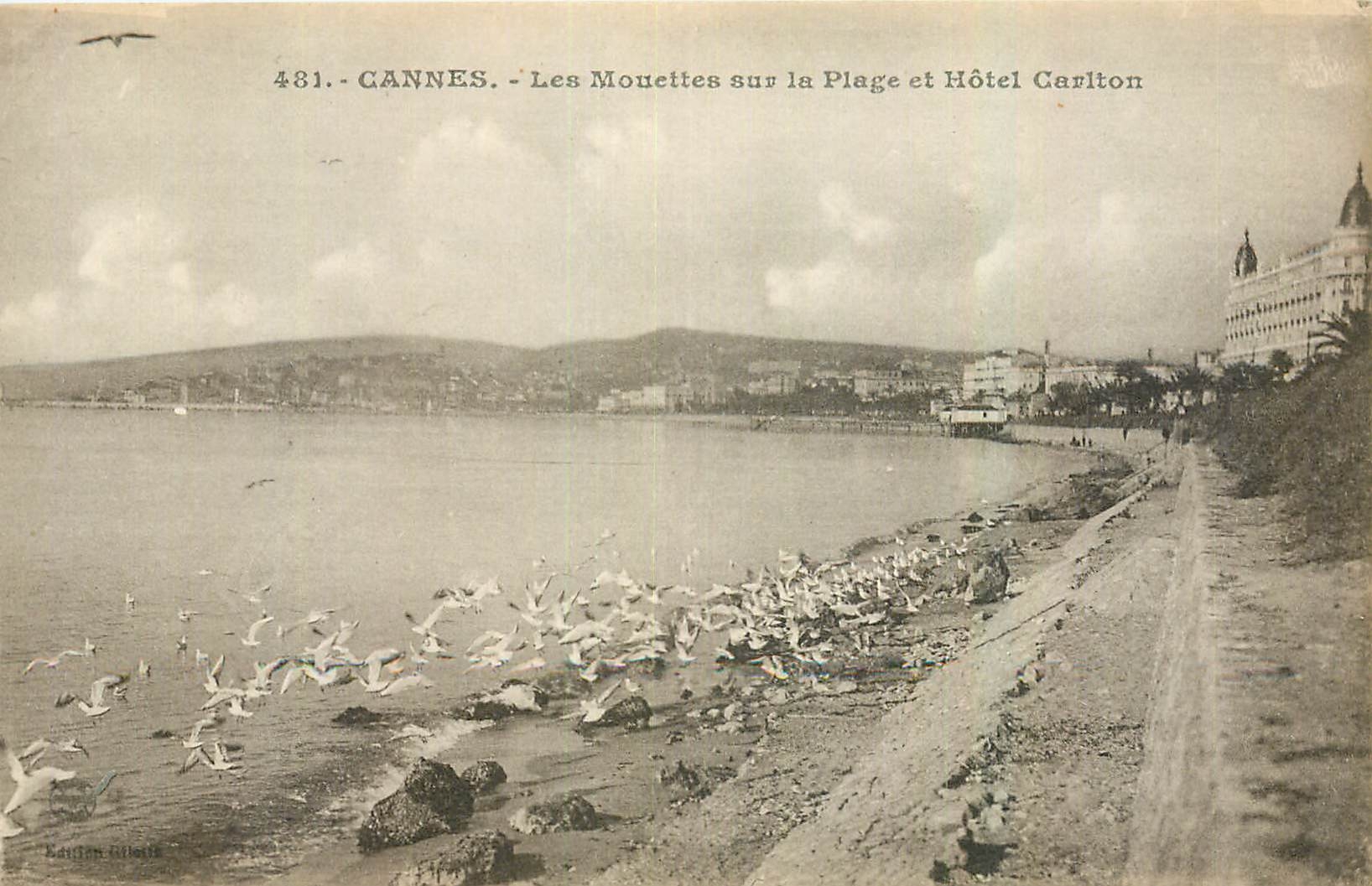CPA Cannes Les Mouettes sur la Plage et Hotel Cariton 
