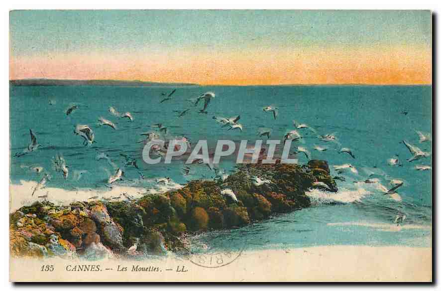 CPA Cannes Les Mouettes 