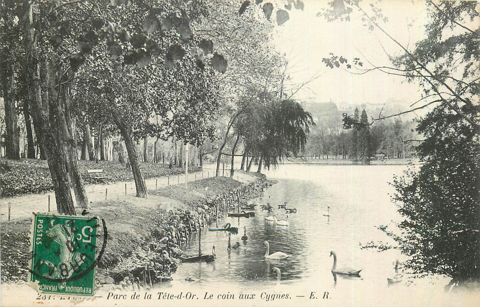 CPA Lyon Parc de la tete d'Or Le coin aux Cygnes 