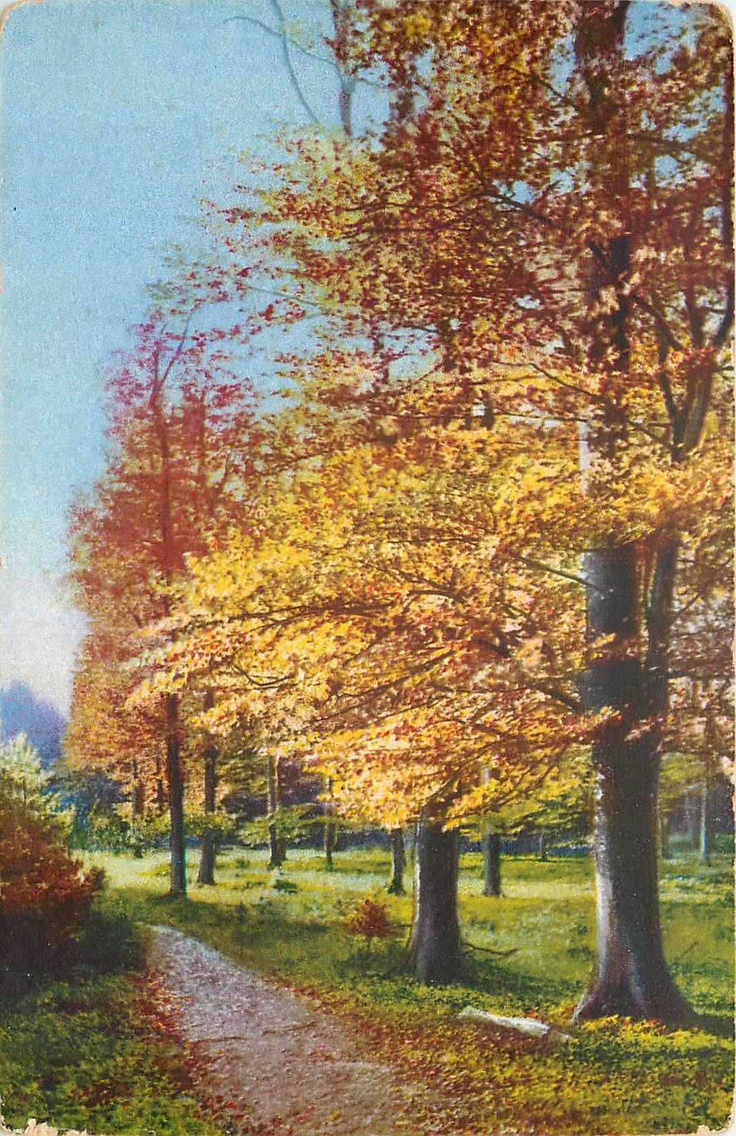 CPA Arbres