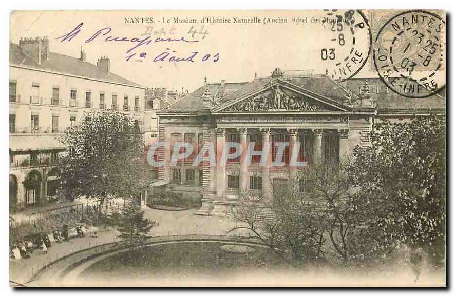 CPA Nantes Le Museum d'Histoire Naturelle Ancien Hotel des Monnaies