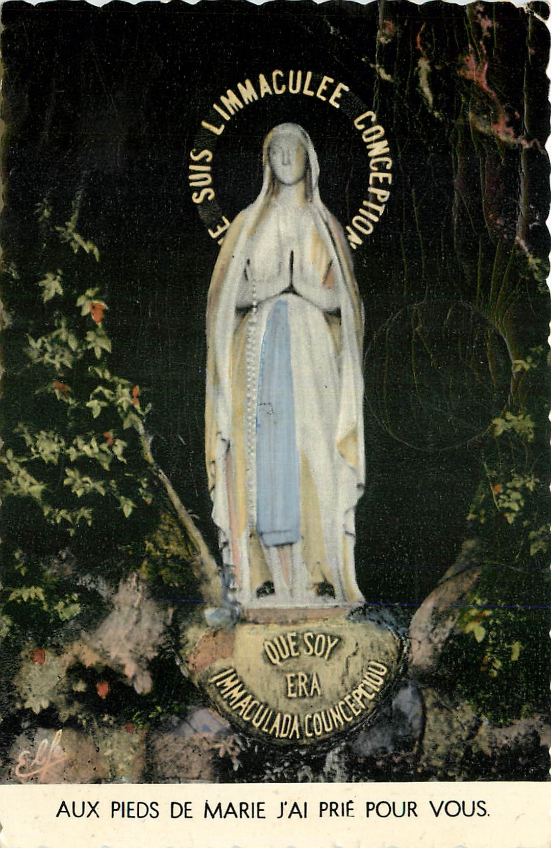 CPA Lourdes La Vierge de la Grotte  