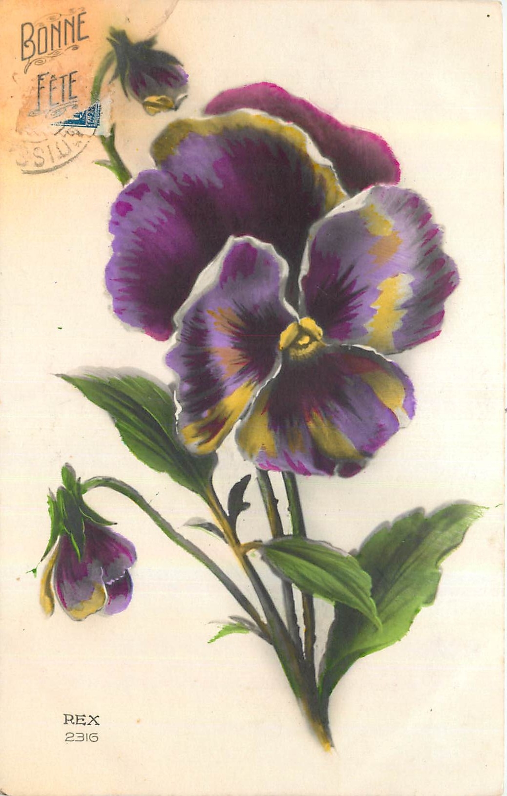CPA Fleurs