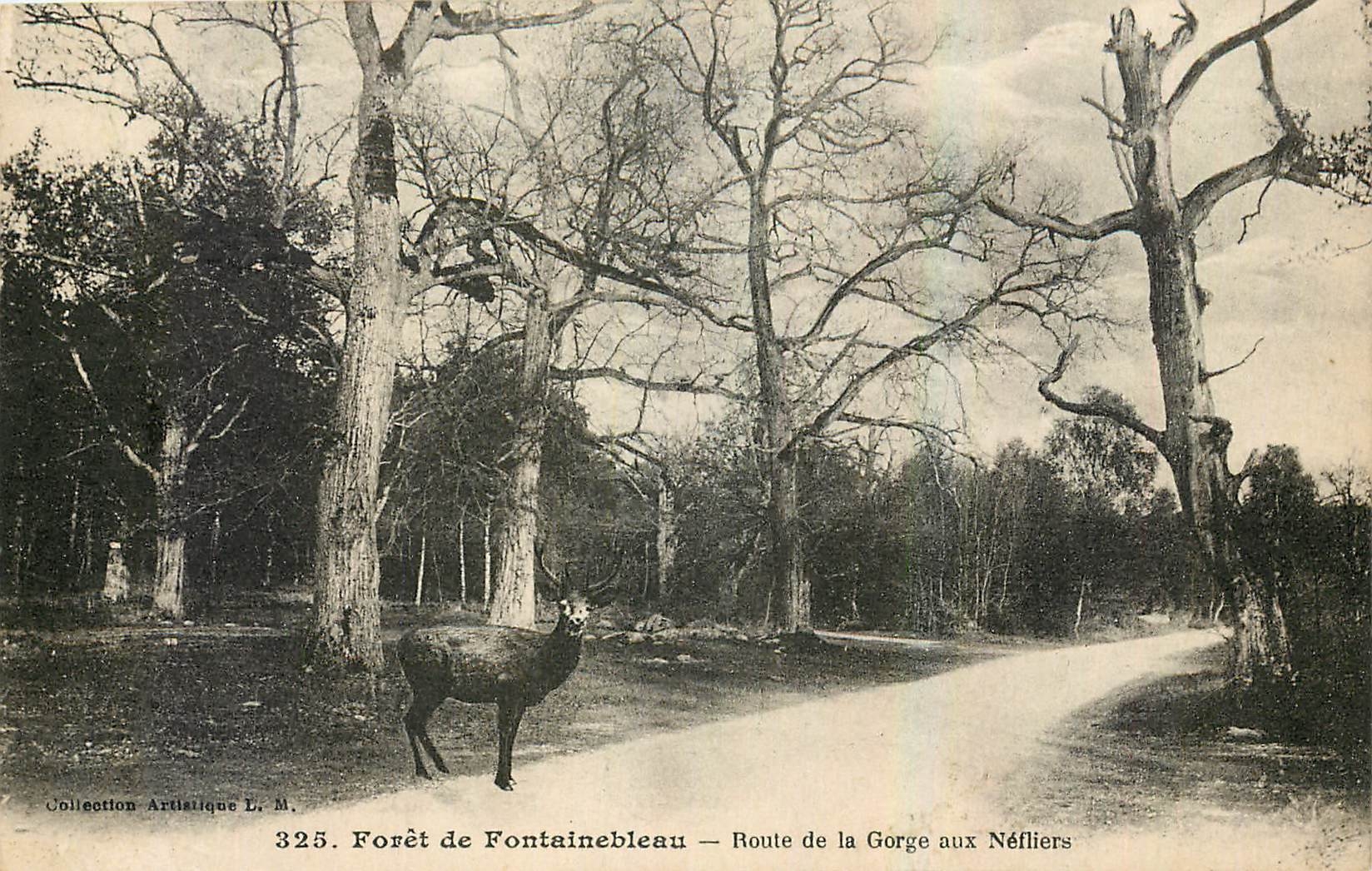 Forêt de Fontainebleau — Route de la Gorge aux Néfliers — Künstlerische Sammlung L. M. n° 325