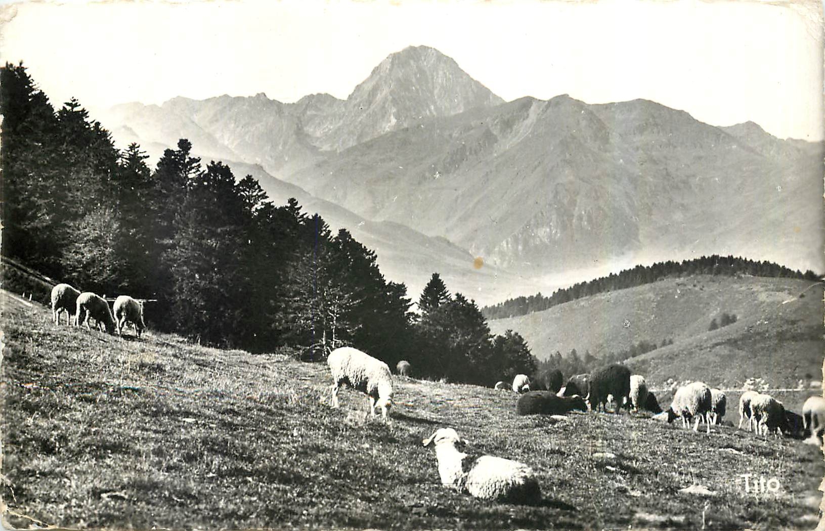 CPA Vallee d'Aure Col d'Aspin Vue sur le Pic du Midi de Bigorre 