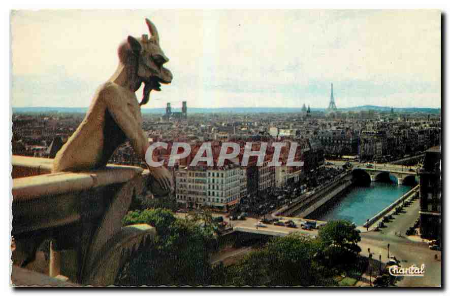 CPM Paris le Diable vu des Tours de Notre Dame 