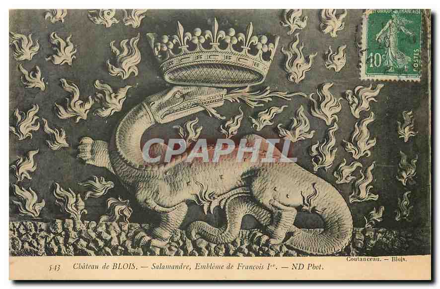 Schloss BLOIS — Salamander, Wappen von François I. — Coutanceau — Blois