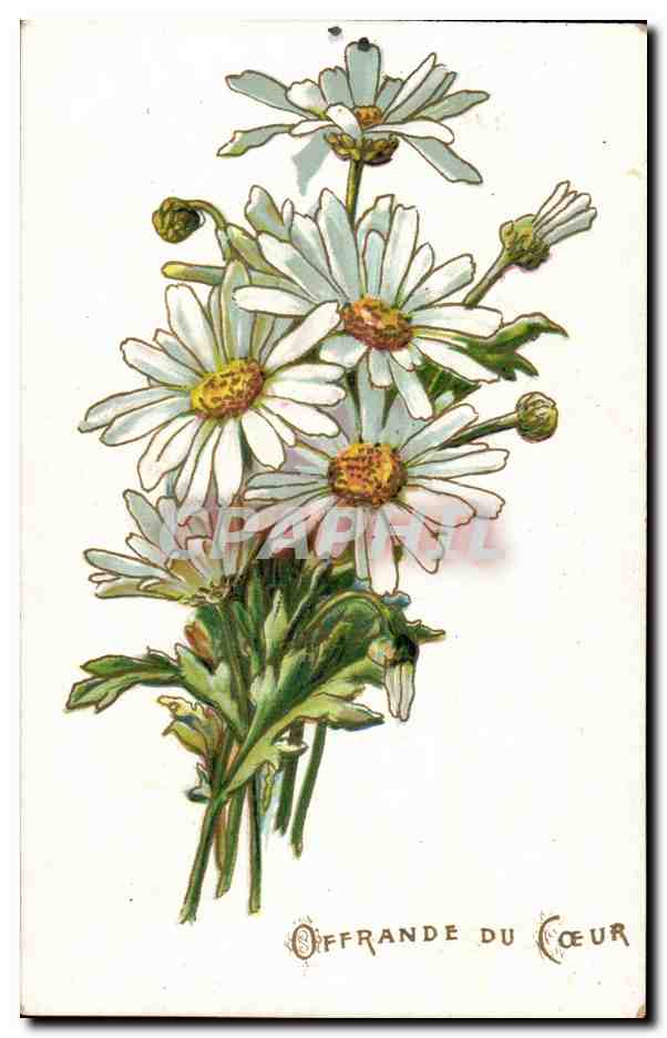 CPA Fantaisie Fleur offrande du coeur