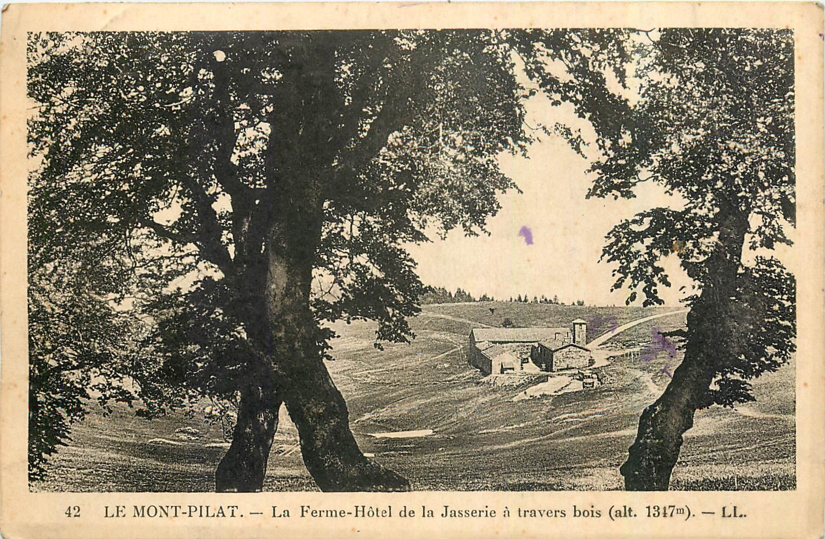 CPA Le Mont Pilat La Ferme Hotel de la Jasserie a travers bois 
