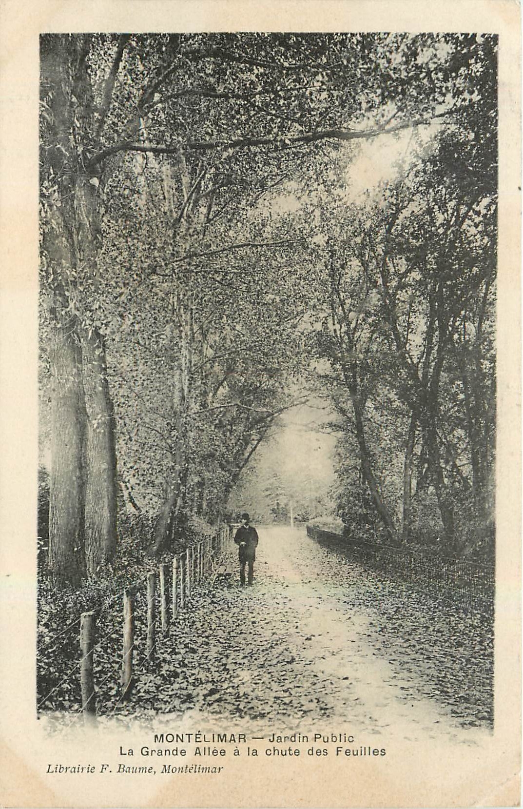 Montélimar — Jardin Public, La Grande Allée à la chute des Feuilles — Librairie F. Baume, Montélimar