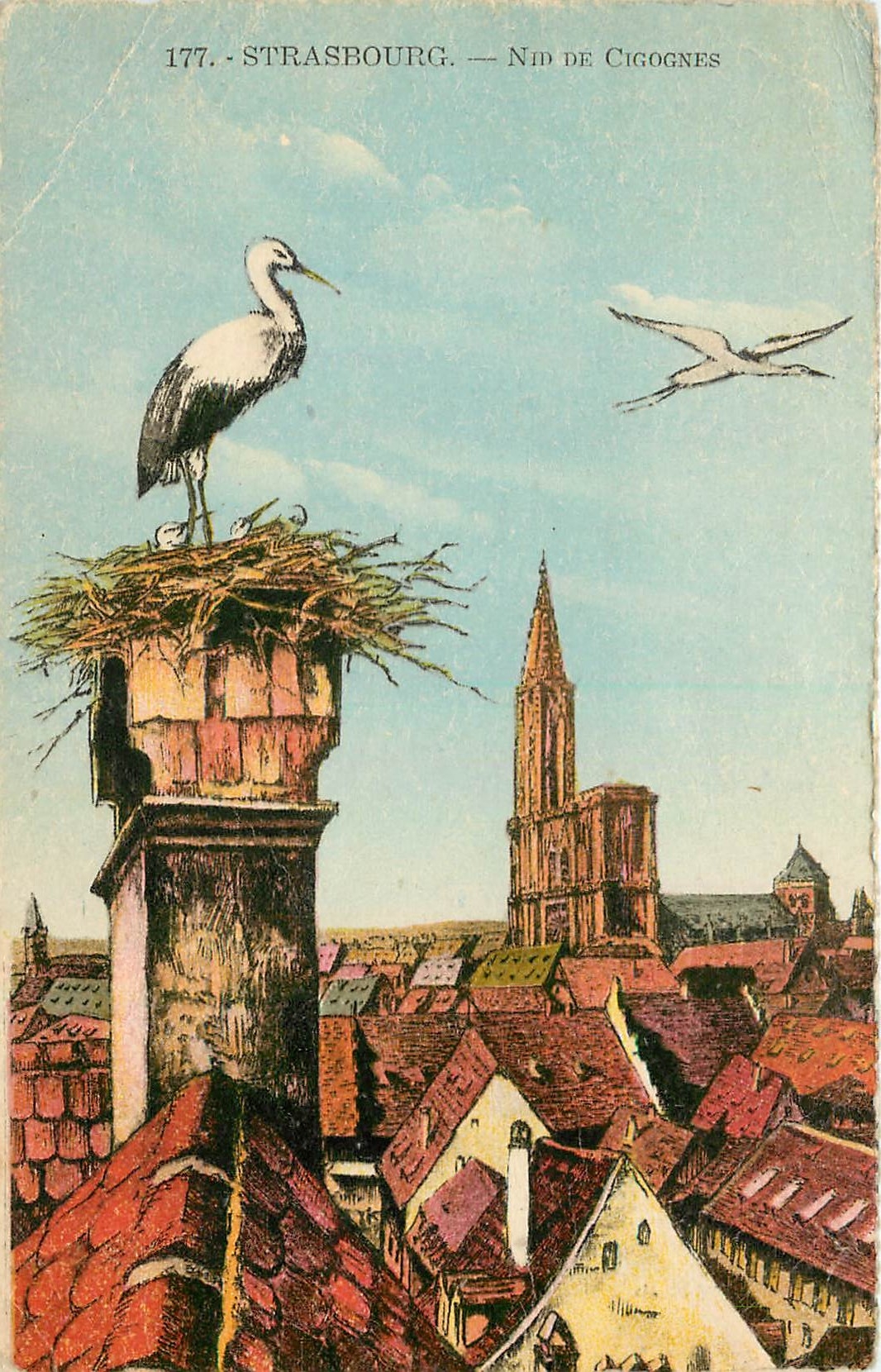 Strasbourg — Nid de cigognes — Édition Ch. Montplaisir, n° 177