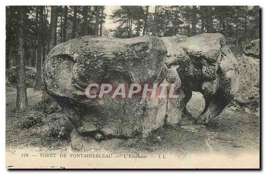 Forêt de Fontainebleau — L'Éléphant — L.L. — n°319 - Recto