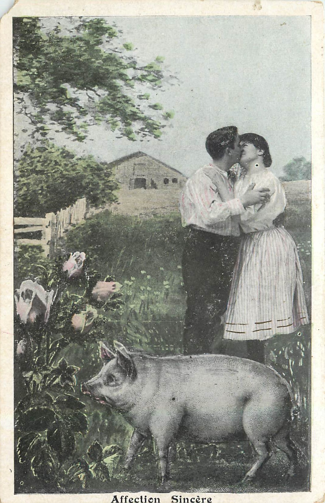CPA Affection Sincere  Femme Cochon Porc