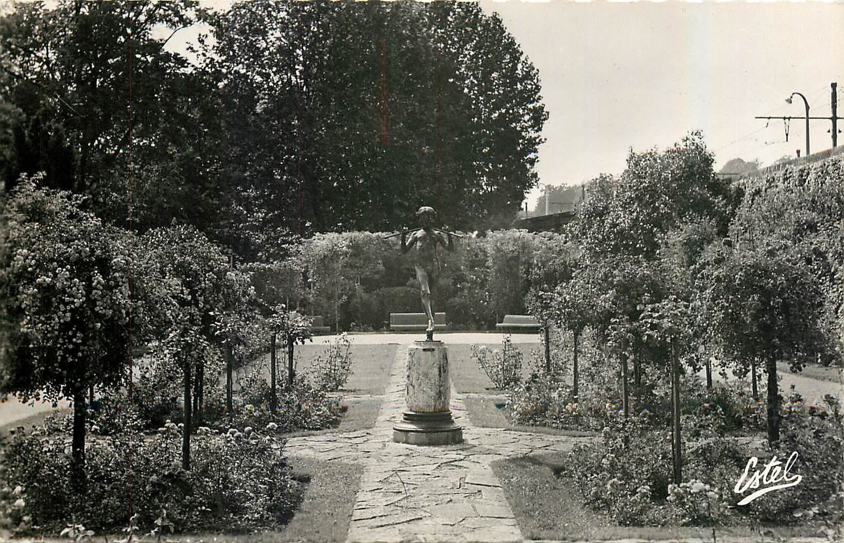 CPM Dijon Le Jardin de l'Arquebuse La Roseraie 