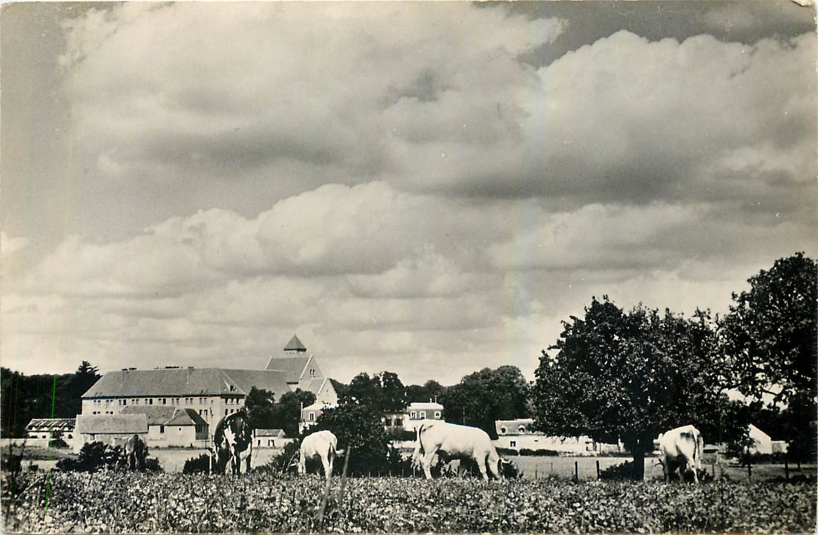 CPM Vauhallan S et O L'Abbaye de Limon 