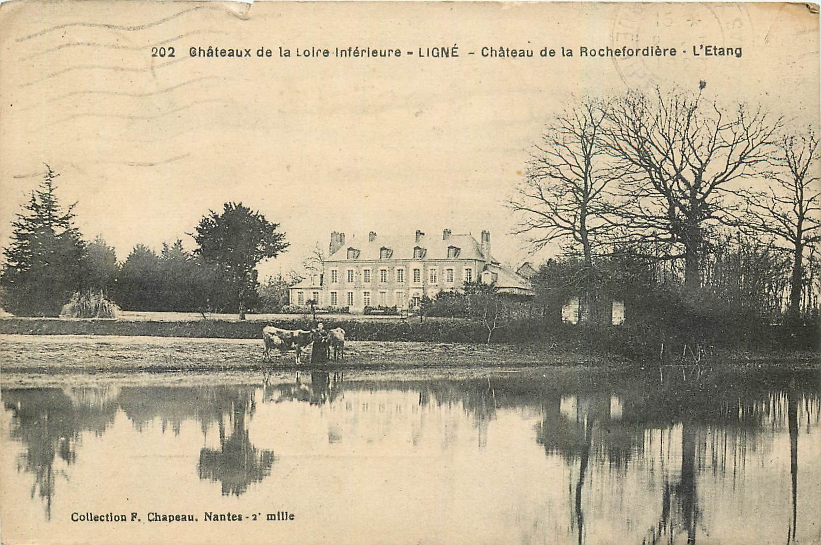 CPA Chateaux de la Loire Inferieure Ligne Chateau de la Rochefordiere L'Etang 