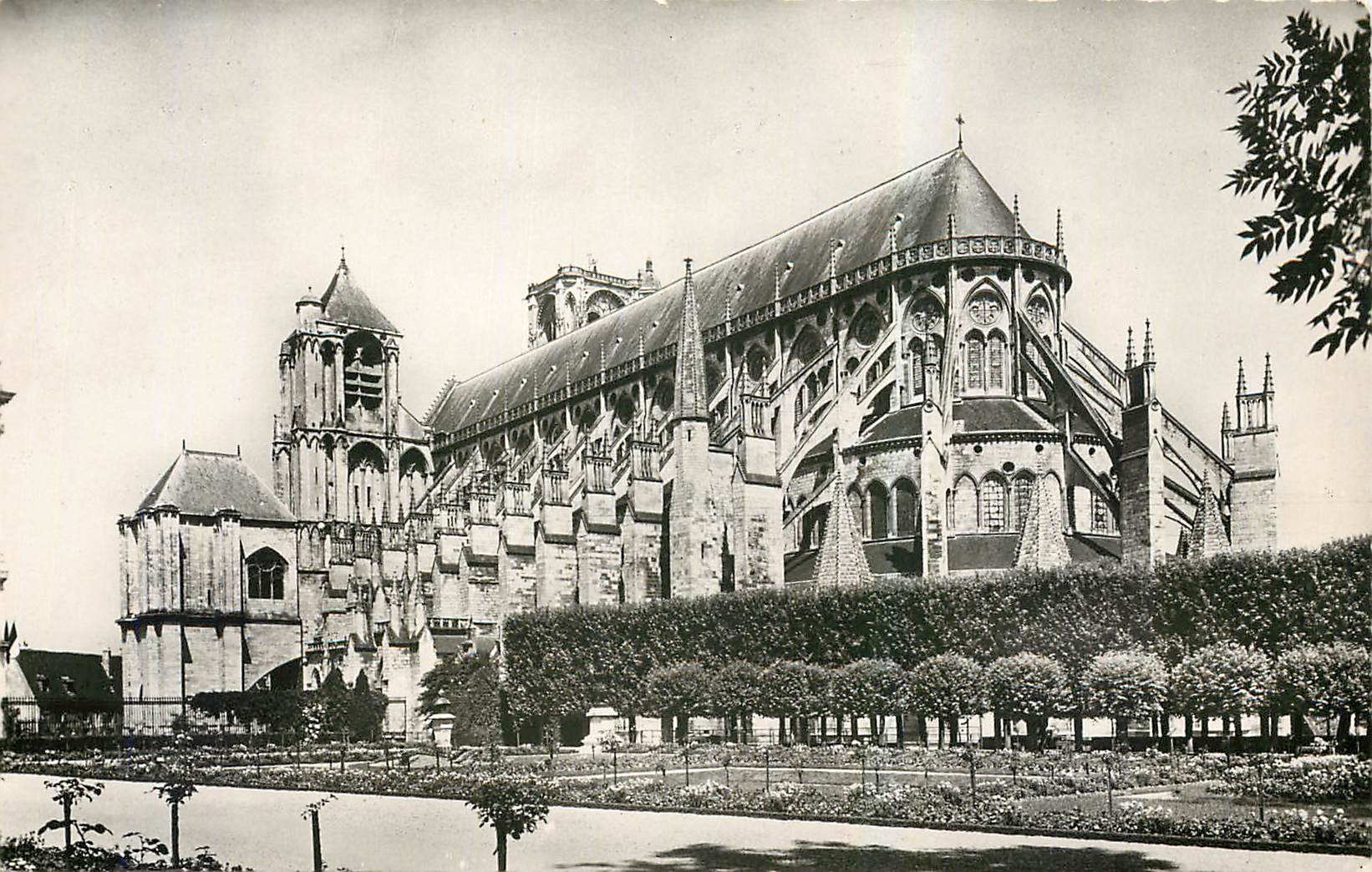 CPA Cathedrale St Etienne de Bourges vue d'ensemble sur la Nef et l'Abside 