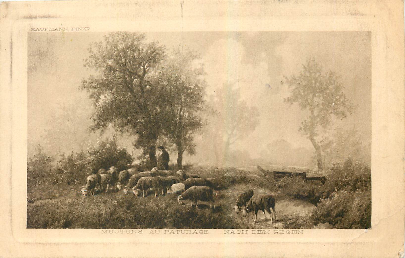 CPA Moutons au Paturage Kaufmann