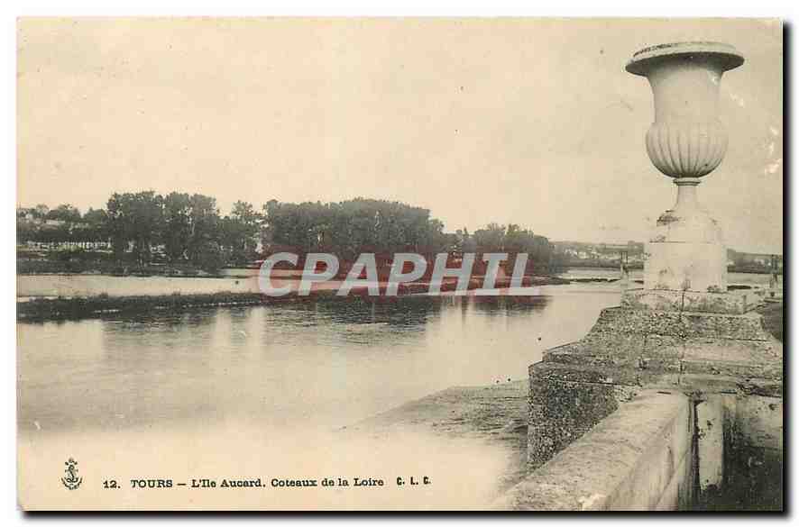 CPA Tours L'Ile Aucard Coteaux de la Loire 