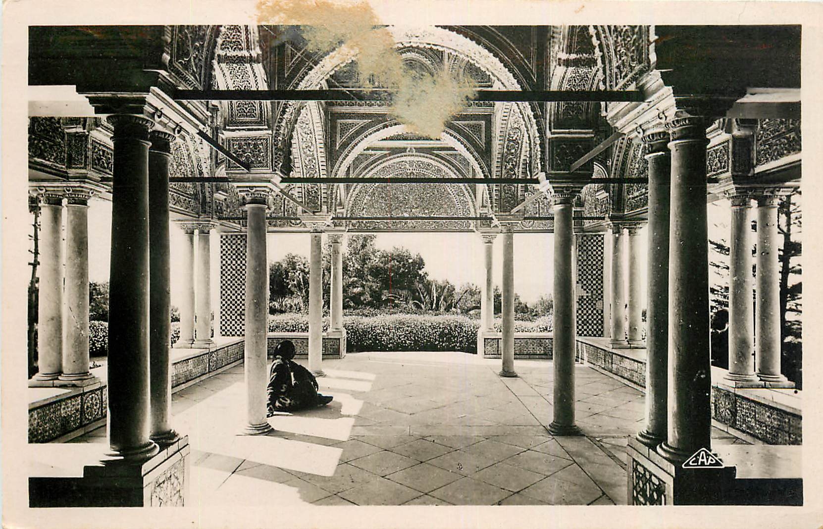CPA Tunis Le Belvedere La Kouba 