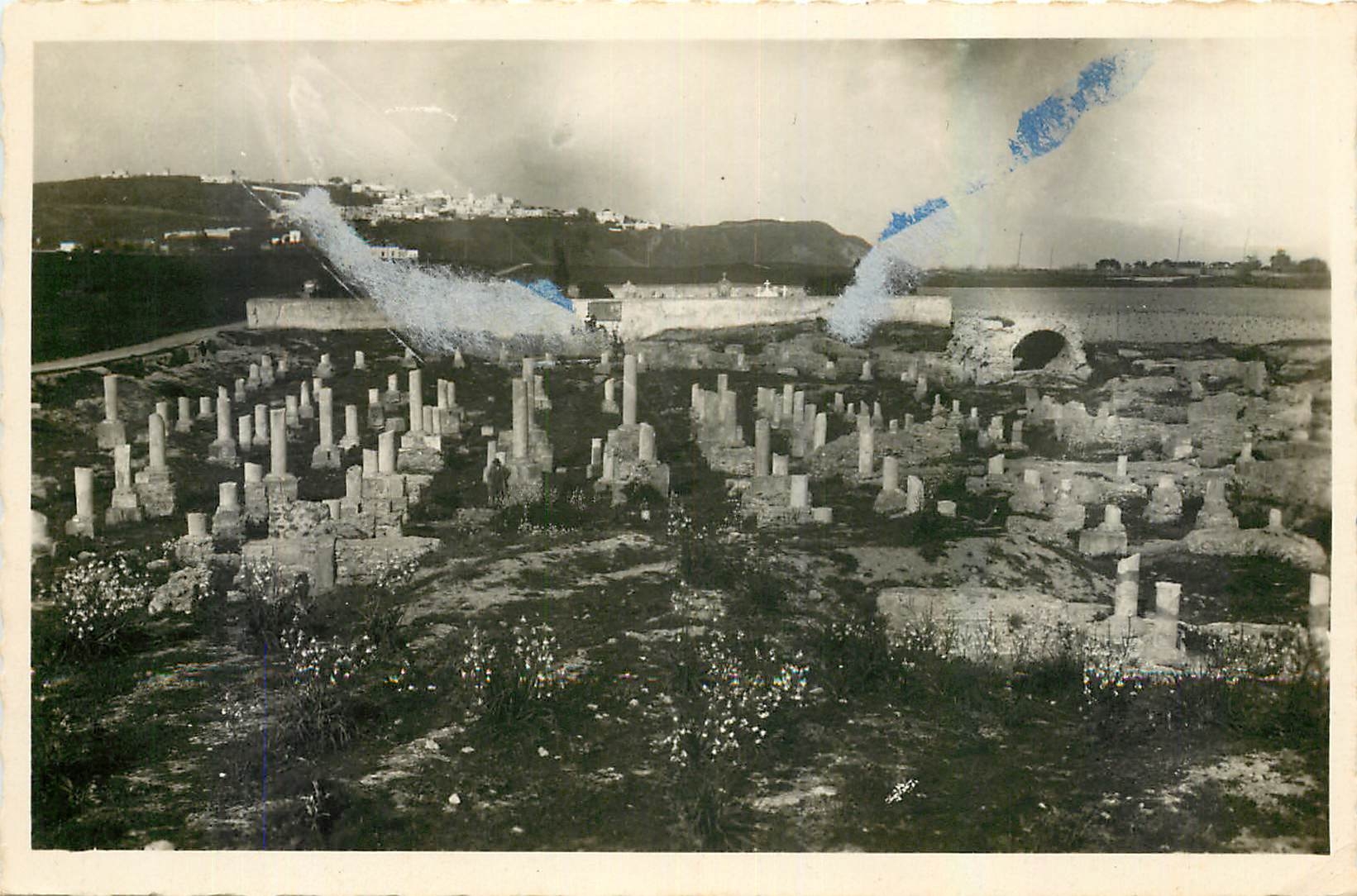 CPA Ruines de Carthage Basilique de Damous Karitas 