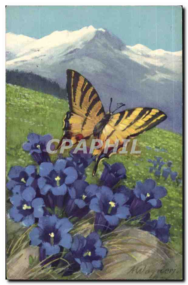 CPA Fantaisie Butterfly Papillon