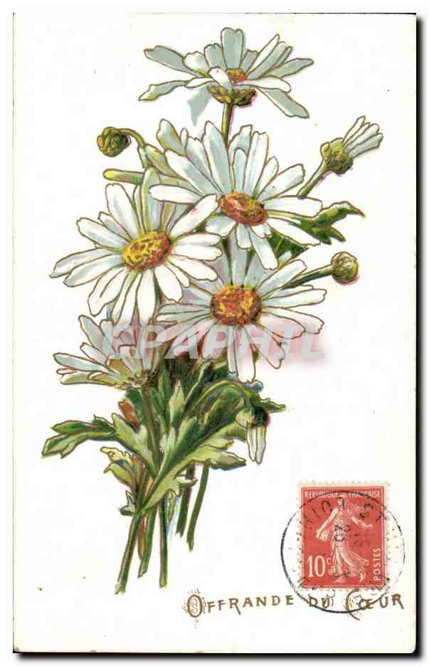 CPA Fantaisie Fleurs offrande du coeur