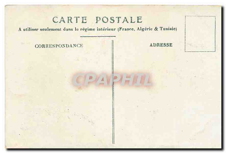 CPA Fleurs Chien — Back