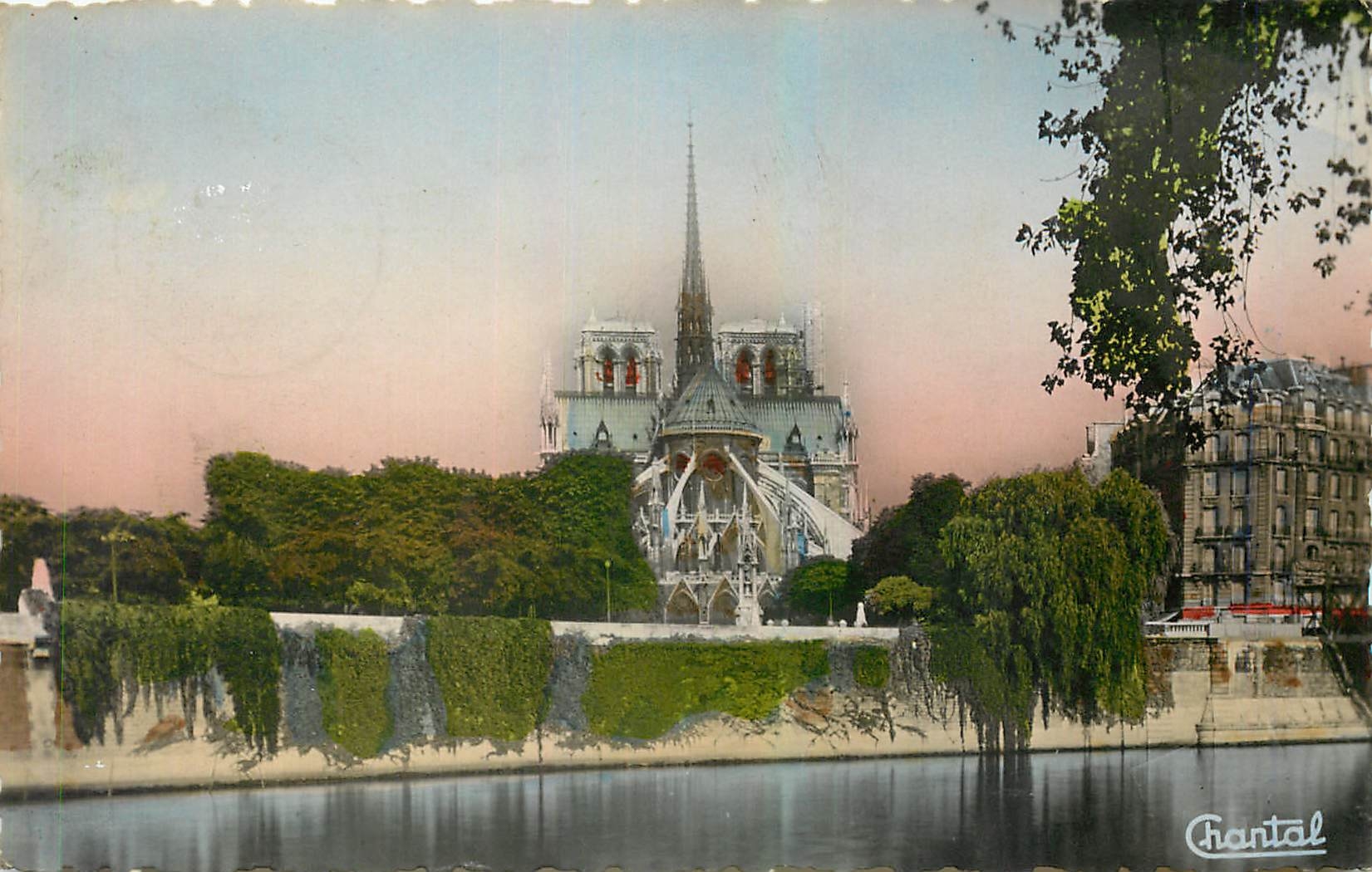CPA Paris Notre Dame vue de la Cite 