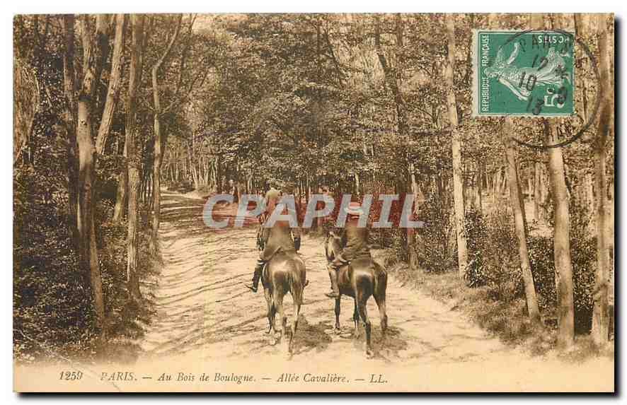 CPA Paris Au Bois de Boulogne Allee Cavaliere Chevaux