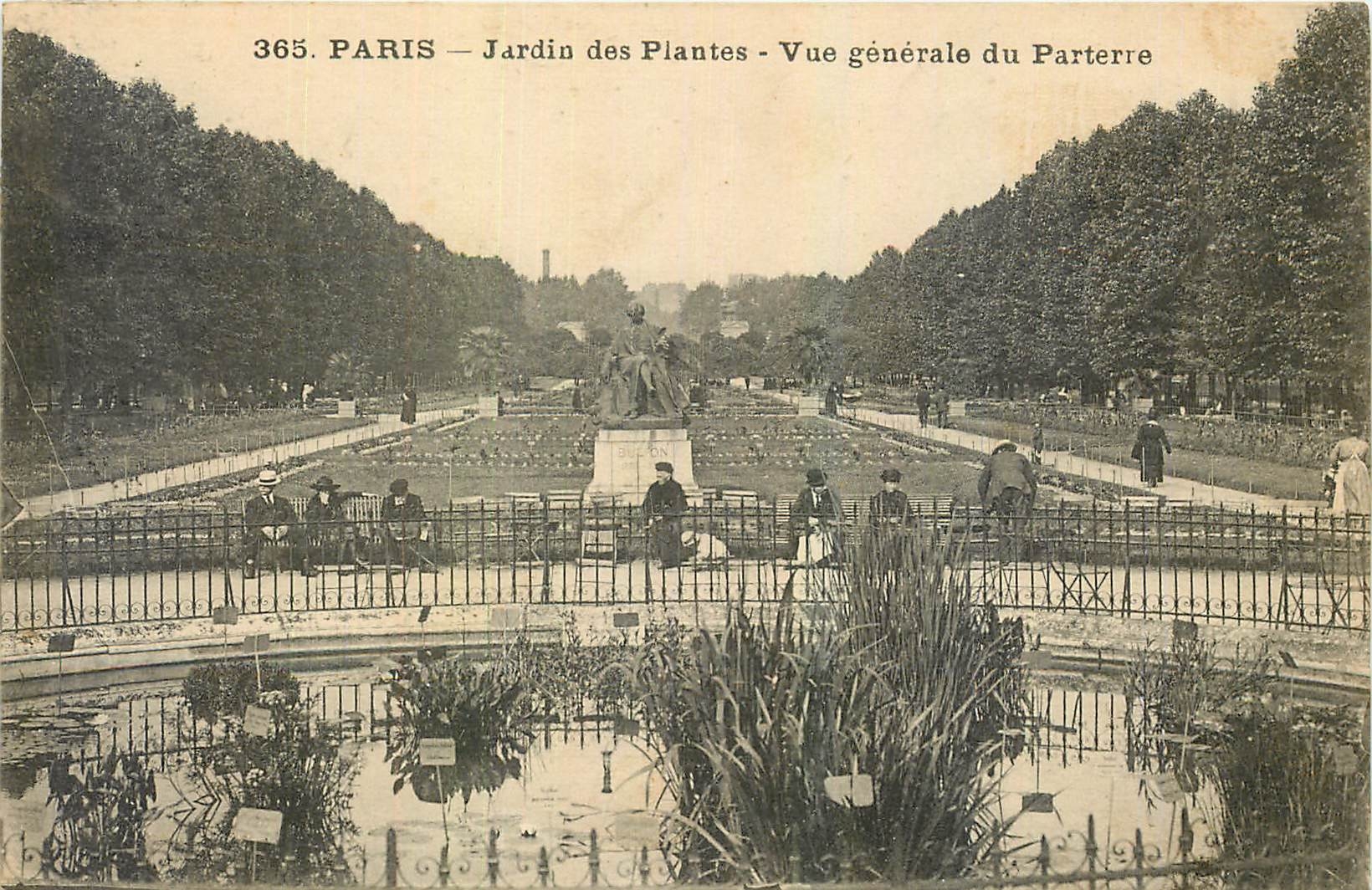 CPA Paris Jardin des Plantes Vue generale du Parterre 