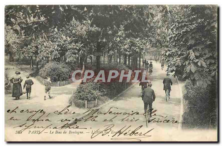 CPA Paris Le Bois de Boulogne l'Allee des erables Velo Cycle