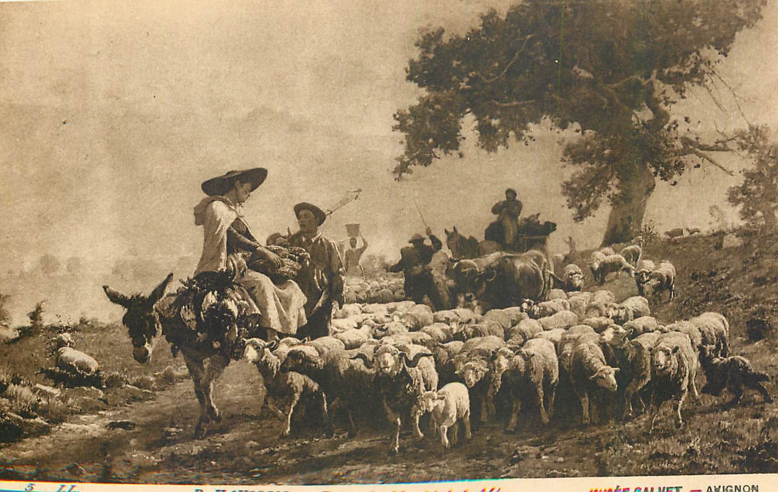CPA Musee Calvet Avignon Vaysson Retour du marche de la Mure Ane Mule
