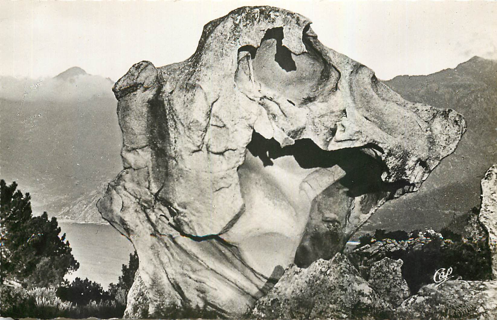 CPM Piana Dans les Calanche la Tete de Chien 