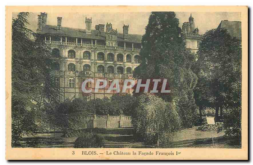 CPA Blois Le Chateau la Facade Francois I 