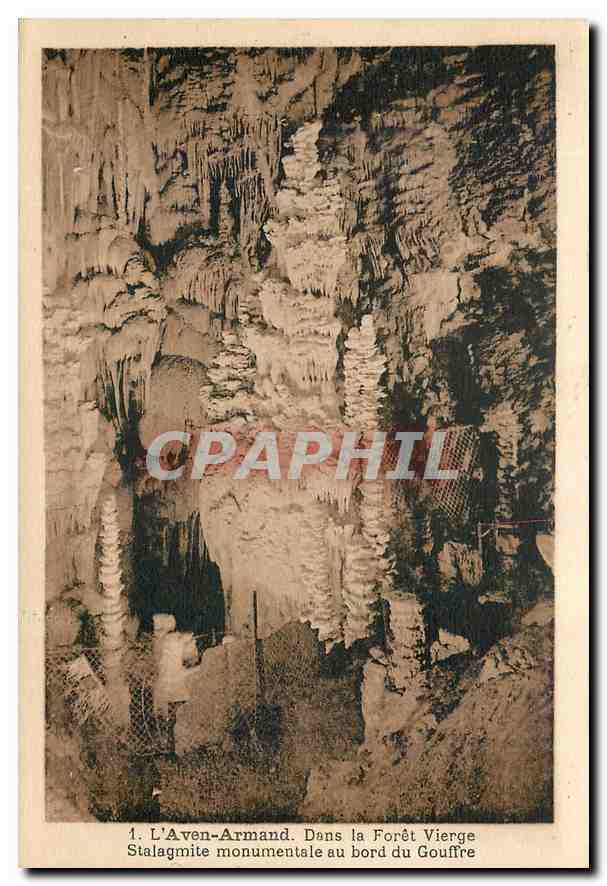 CPA L'Aven Armand Dans la Foret Vierge Stalagmite monumentale au bord du Gouffre 