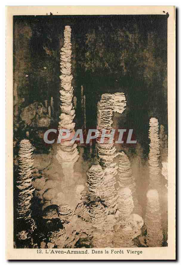 CPA L'Aven Armand Dans la Foret Vierge 