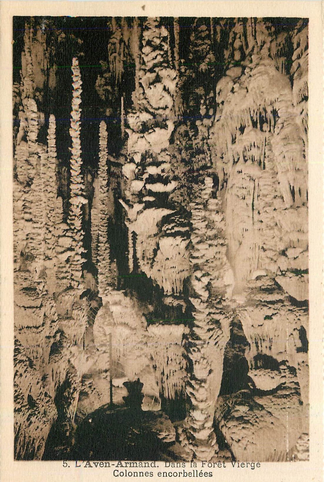 CPA L'Aven Armand Dans la Foret Vierge Colonnes encorbellees 